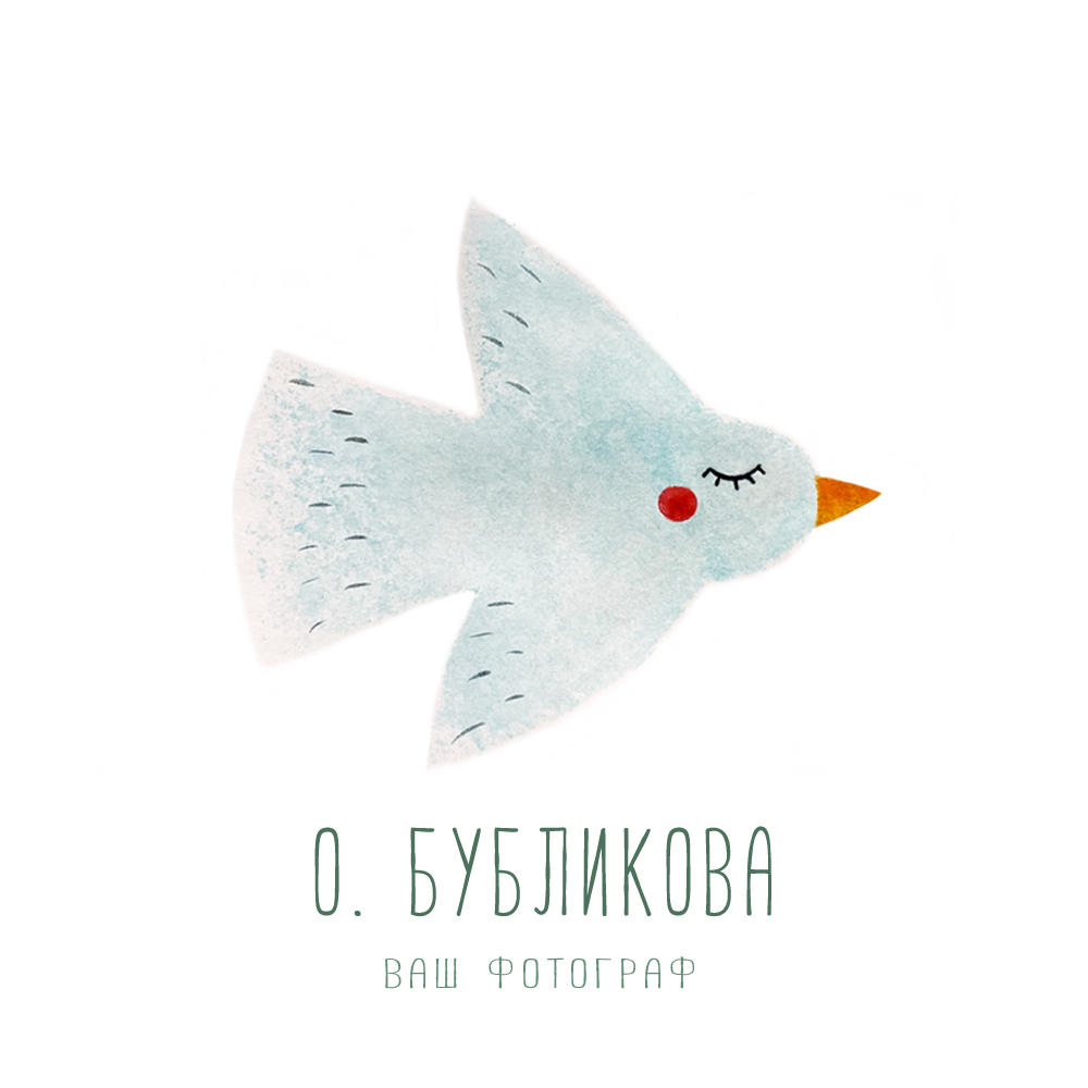Ваш фотограф Оля Бубликова. Семейный фотограф в Новомосковске, Туле и Москве Ольга Бубликова