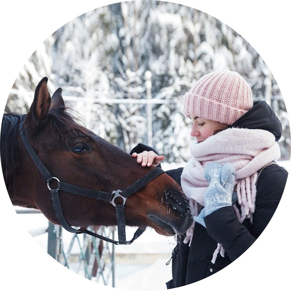 Катание на хаски в Спб