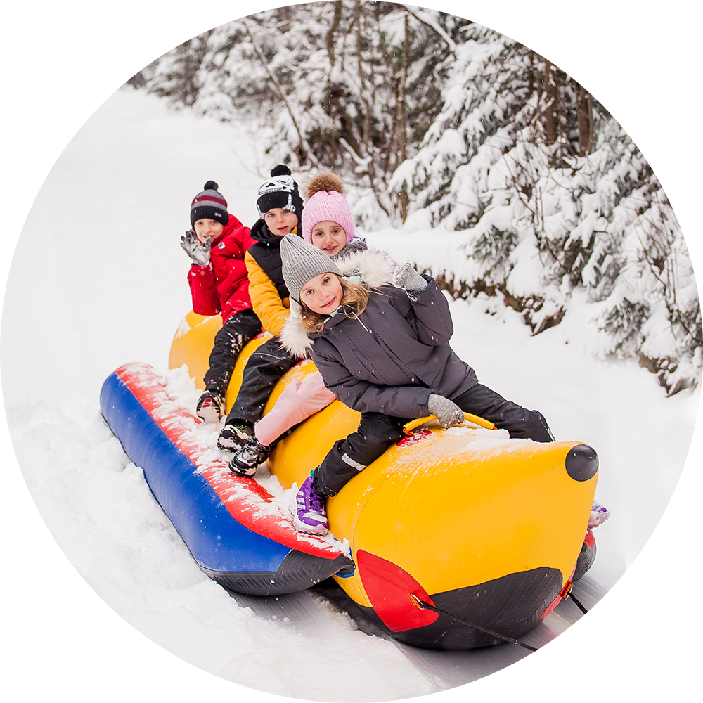 Катание на хаски в Спб