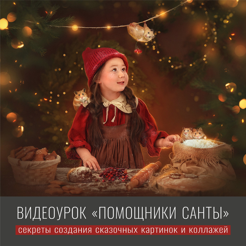 Урок «ПОМОЩНИКИ САНТЫ». Фотохудожник Анна Гис