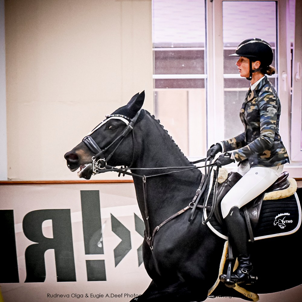 2025.10.25 — КСК Виват, Россия!. ТУРНИРНАЯ КОННАЯ ФОТОГРАФИЯ, Руднева Ольга и Евгений Адеев