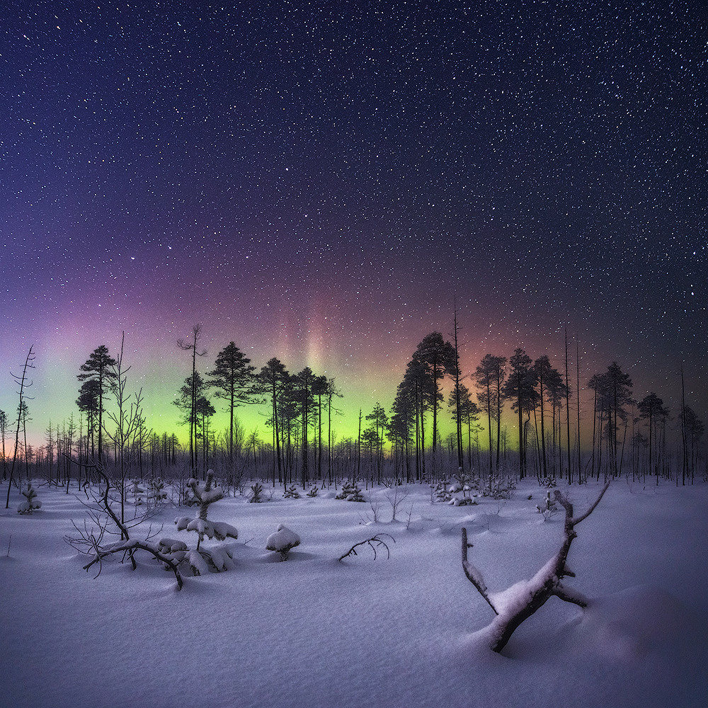Профессиональный пейзажный и рекламный фотограф Чаланов Иван