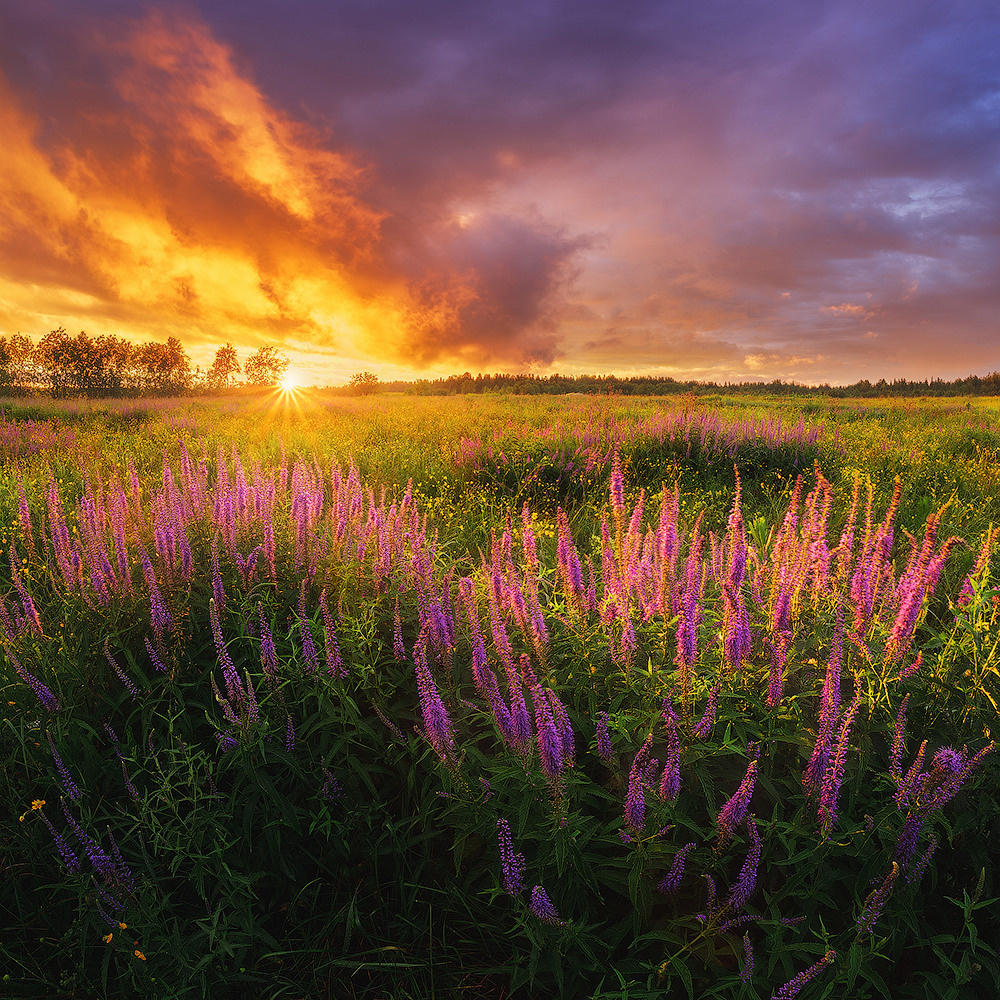 Профессиональный пейзажный и рекламный фотограф Чаланов Иван