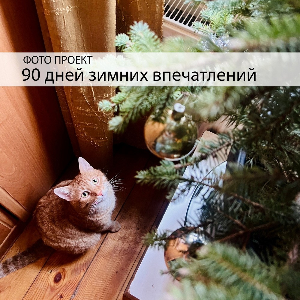 Клуб «90 дней впечатлений». Портретный фотограф В Крыму и преподаватель Екатерина Покровская