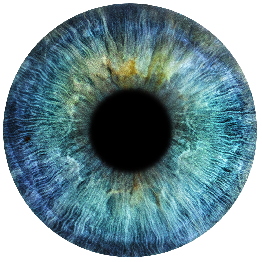 Примеры фото. Фото радужки глаза LOOK IN