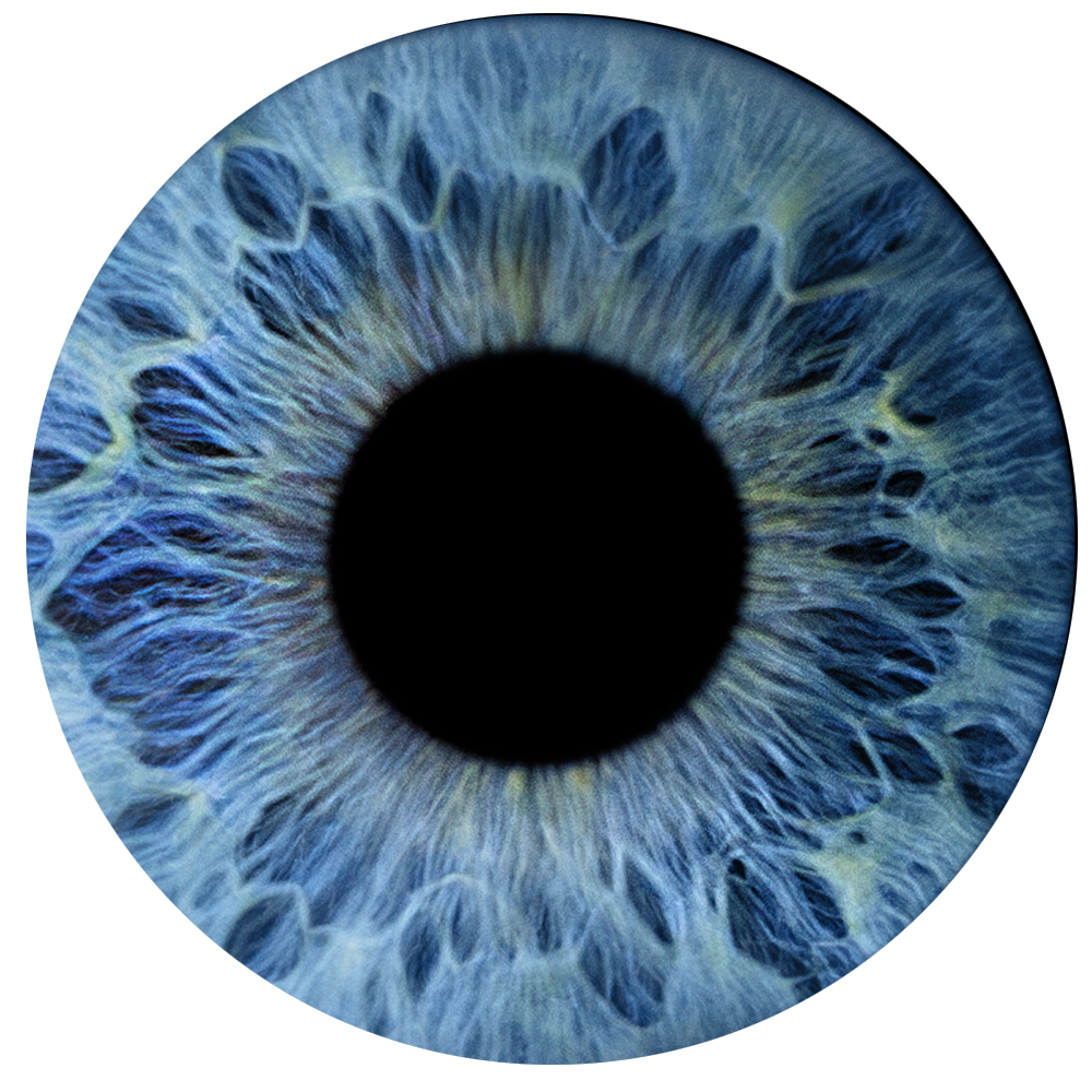 Примеры фото. Фото радужки глаза LOOK IN