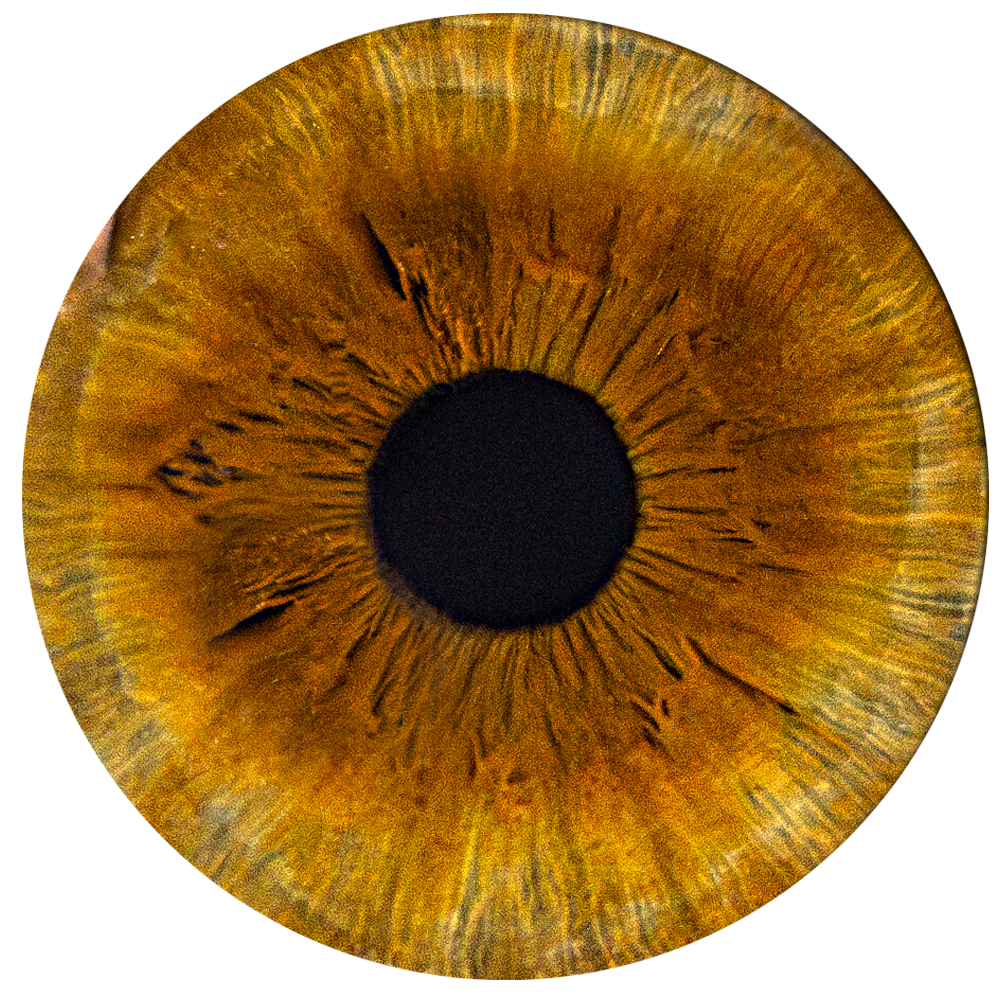 Примеры фото. Фото радужки глаза LOOK IN