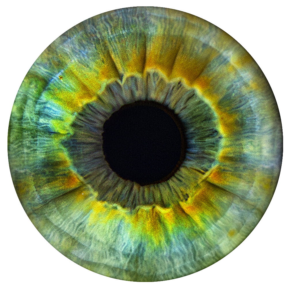 Примеры фото. Фото радужки глаза LOOK IN