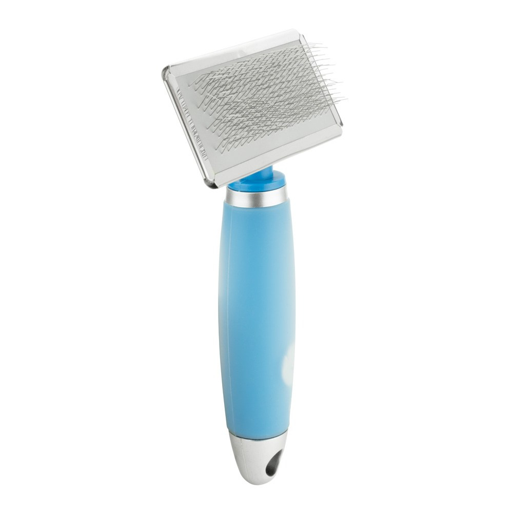 Как подготовиться к переезду котенка. Питомник рэгдолл Loyal Adore