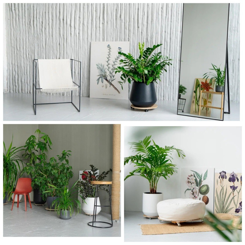 Фотостудии. Фотограф Яна Матвеева в Ижевске