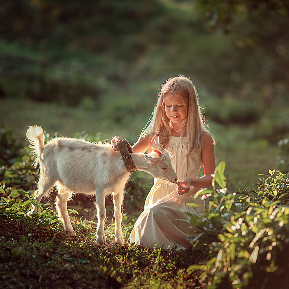 Education. Photographer in Slovenia, Italy and Europe, Valeria Korol