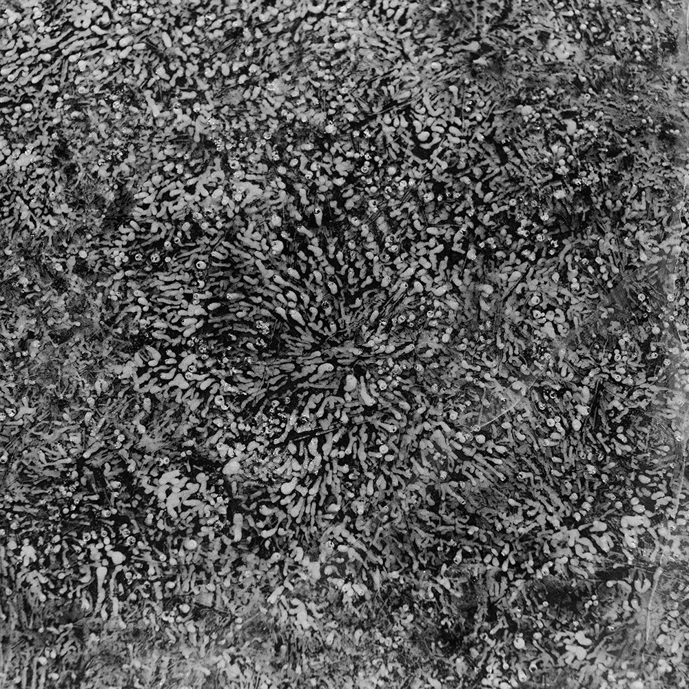 Выставка Упаковка пустоты с 20 апреля по 20 июня 2020 года