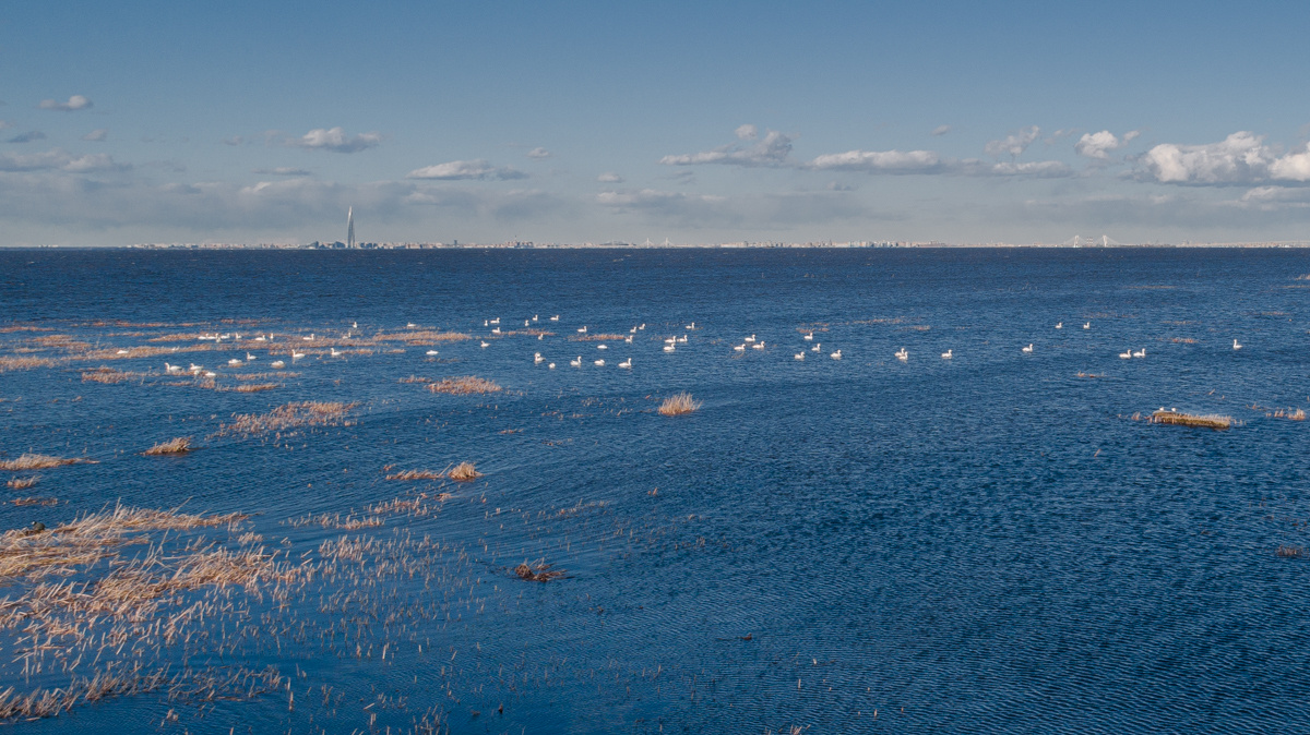 Пока все дома, лебеди уже на стоянке. 42clicks|||Студия видео и фотосъёмки