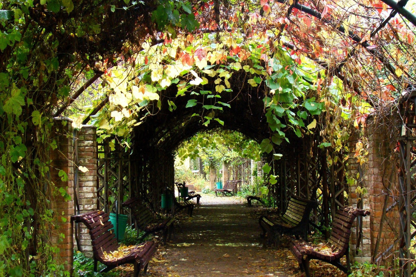 Красивые места для фотосессии. Фото Радости. Свадебный и семейный фотограф в Москве Юлия Самойлова