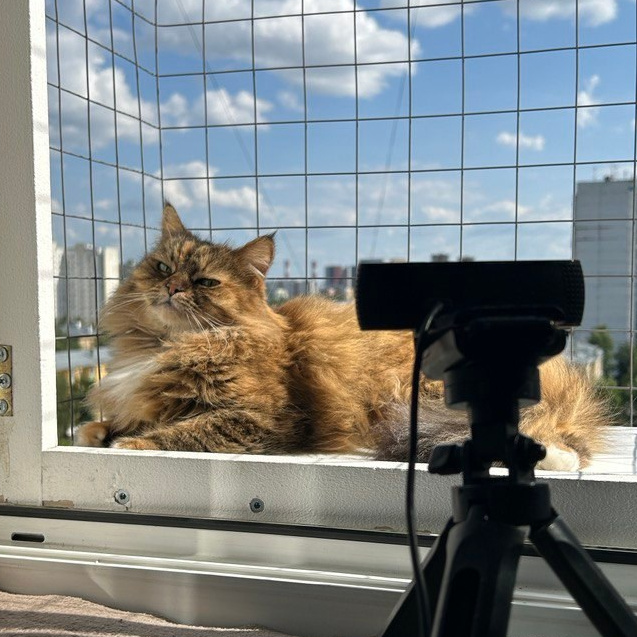 Услуги. Репортажный фотограф видеограф в Москве Ольга Плаксина