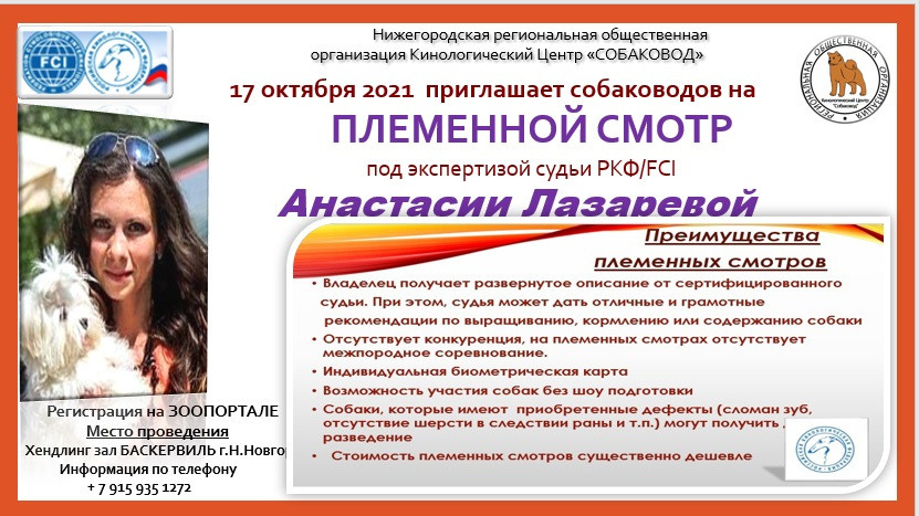 Племенной смотр 17.10.2021 г, судья РКФ/FCI — Анастасия  Лазарева. НРОО КЦ "Собаковод"
