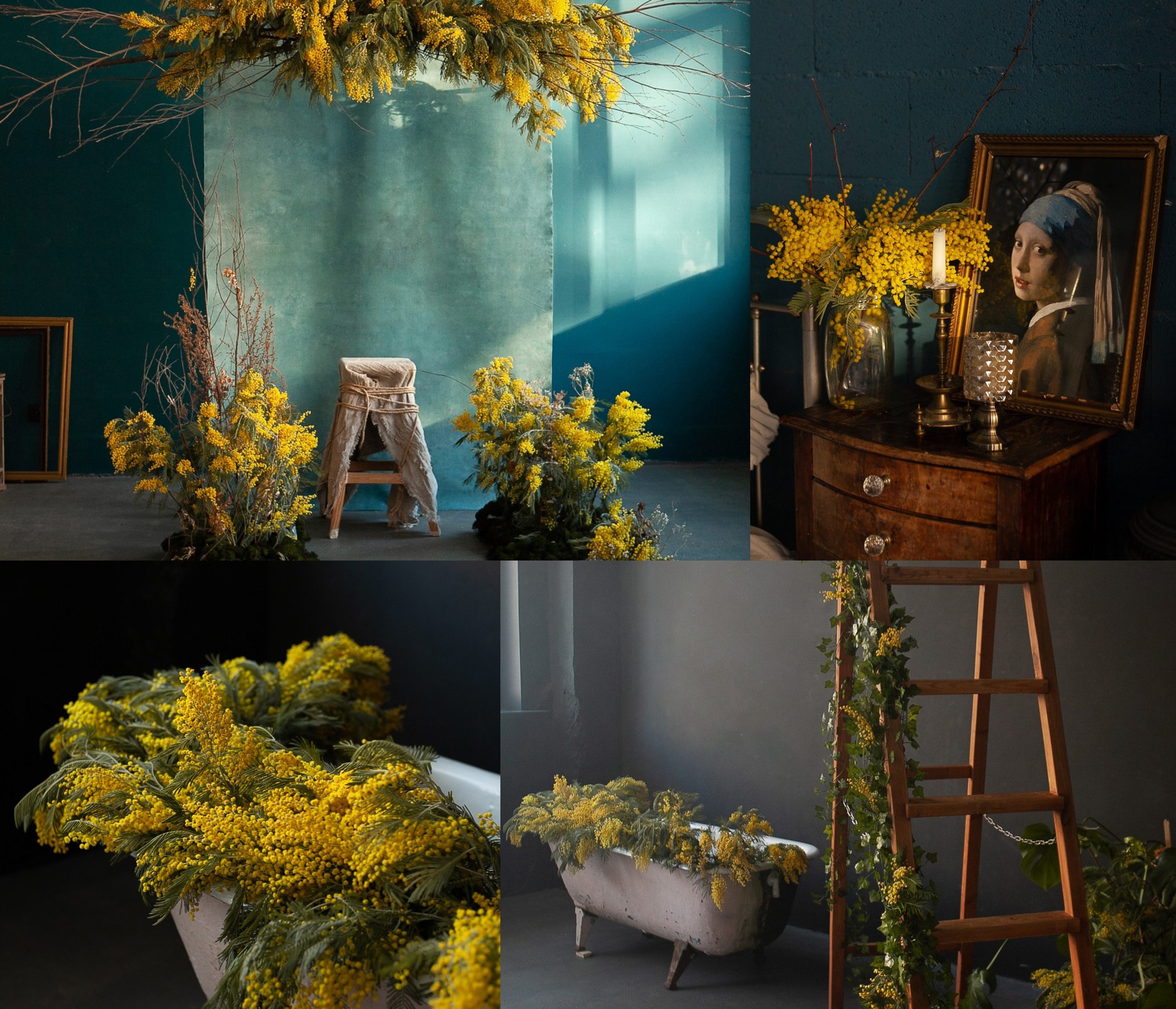 Рекомендации по выбору одежды на фотосессию с мимозой. Фотограф в Санкт-Петербурге, Анна Скворцова