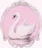 myvisionofu.ru