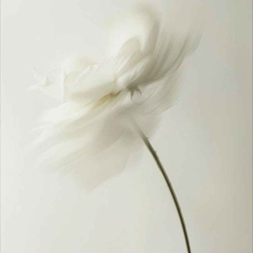 Игра «Лила». Фотограф, психолог в Москве, Жуковском, Раменском Галина Майлер