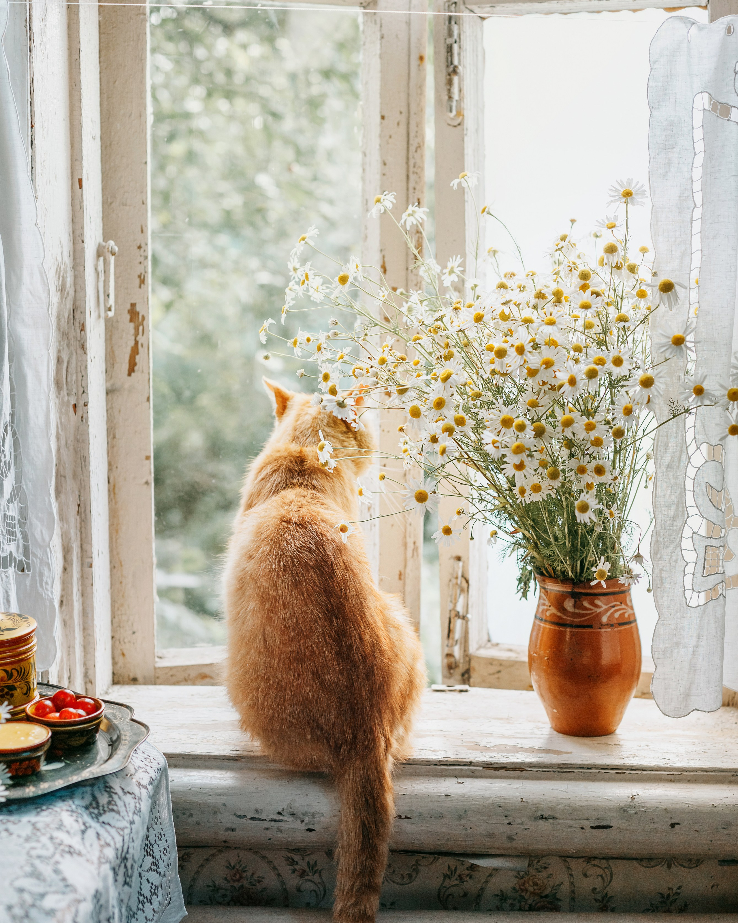 Семейная фотосессия, фотосессия в деревне, деревенский дом, чаепитие. Профессиональный фотограф, фотохудожник, видеограф из Москвы