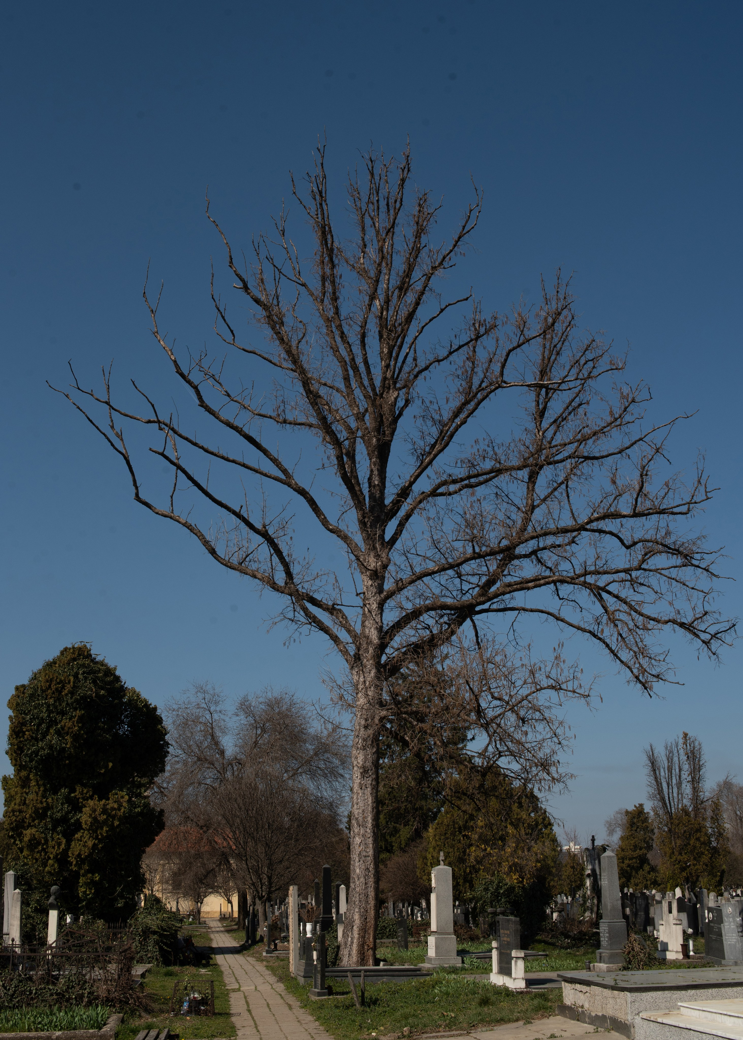 Эстетика тишины. Art-photographer Ira Wind