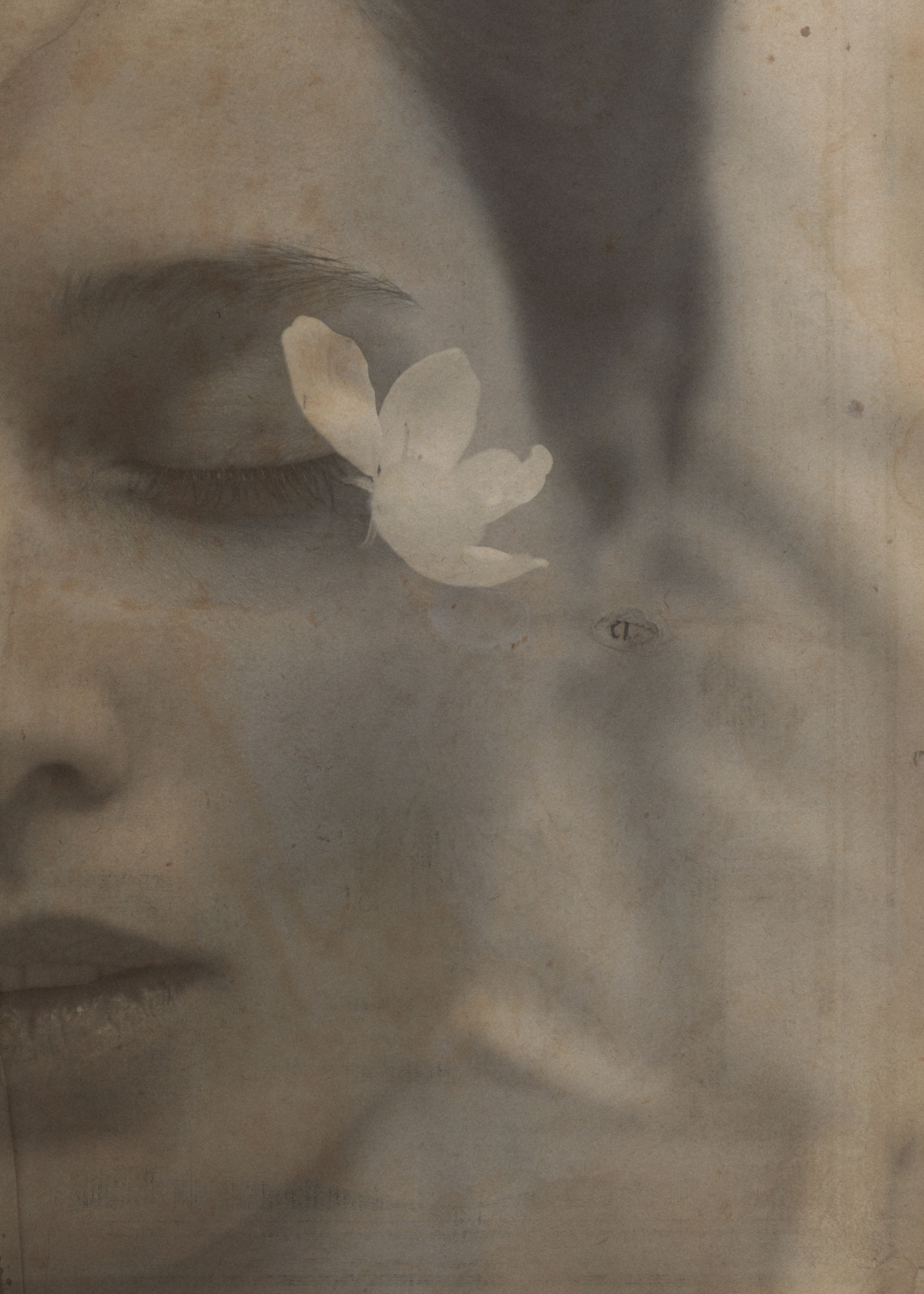 Свадебный проект «РОМЕО И ДЖУЛЬЕТТА». Фотограф в Омске Екатерина Павлова