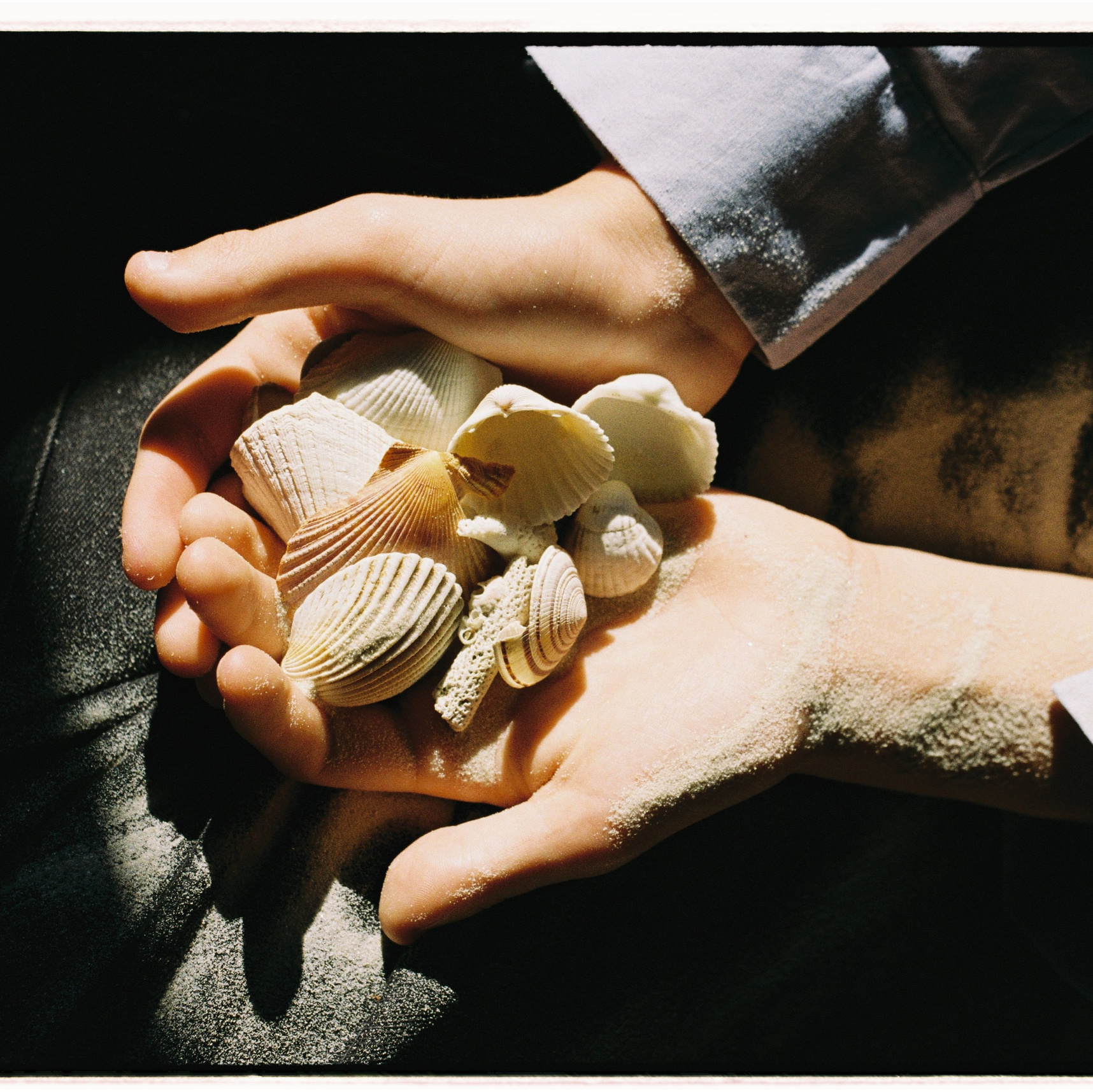 Услуги. ИНфото. Авторские фотографии для интерьеров