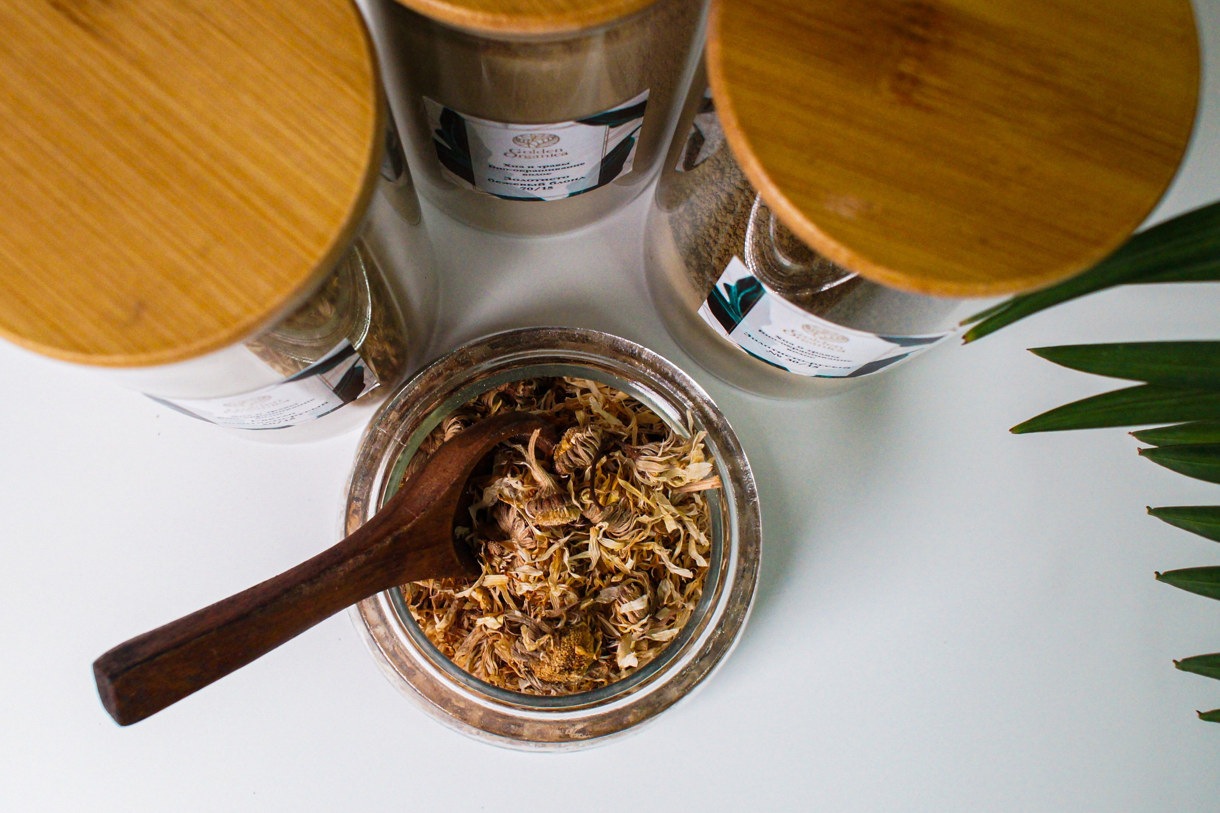 Услуги. Фотограф в Санкт-Петербурге