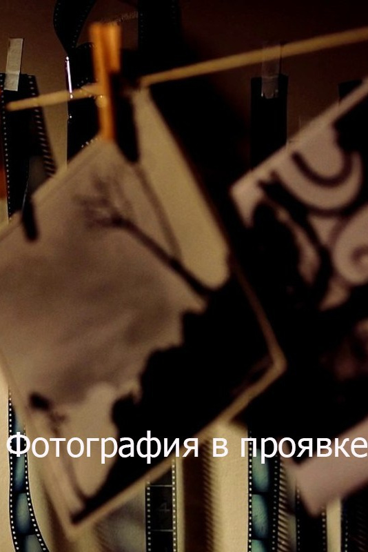Храм Воскресения Христова (Спаса на крови). 812 оттенков Петербурга