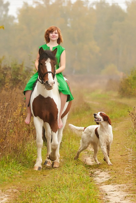 Выбираем тип съёмки. Фотограф-анималист Natalia Deingel | Фотосъемка собак в Москве