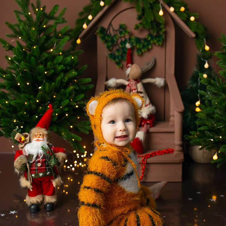 Новогодняя фотосессия. Фотограф новорожденных в Чебоксарах Елена Смолина