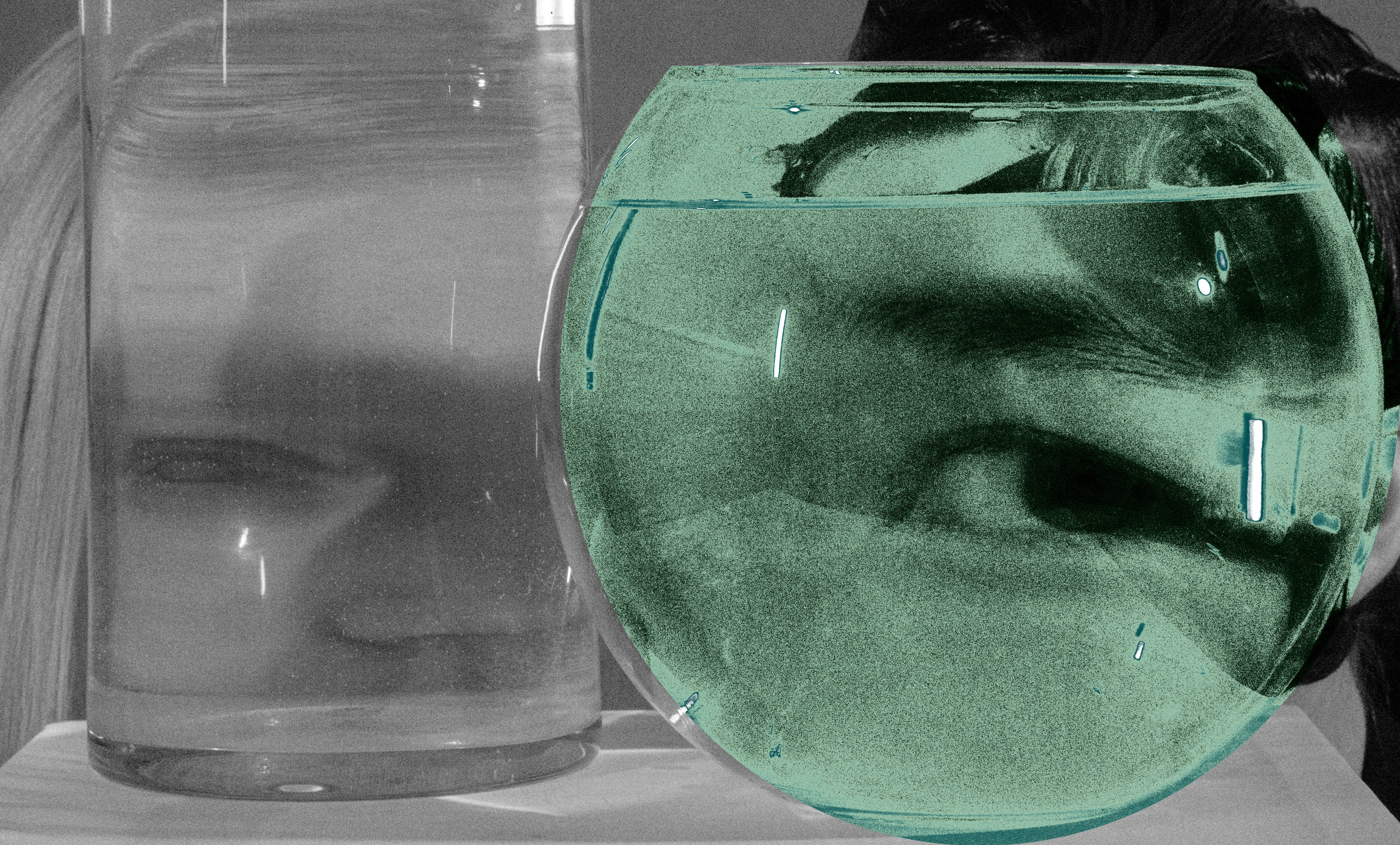 НЕГАТИВНЫЕ ТЕНИ. Фотограф в г. Пятигорске