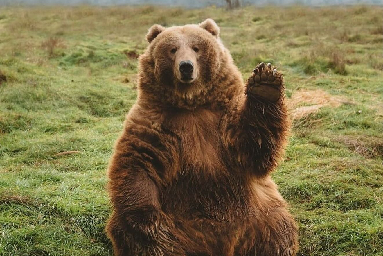 Камчатка | лето — осень