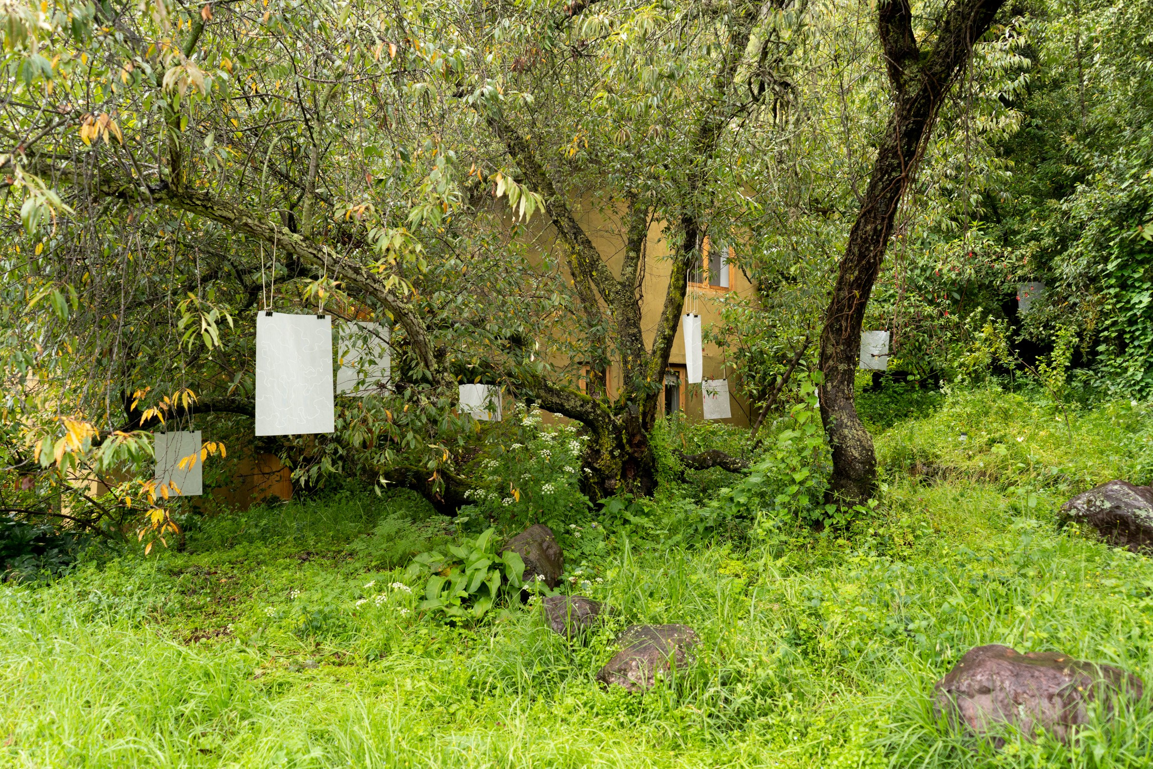 FANTOM MAP OF THE MOTHERLAND. Xexexena.ru