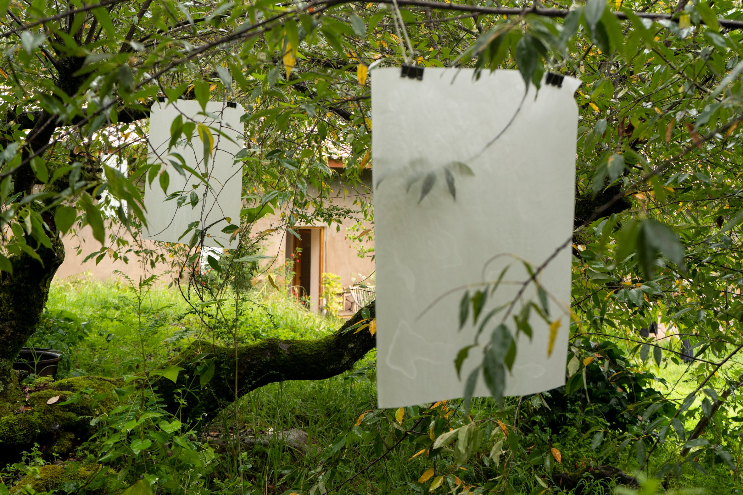 FANTOM MAP OF THE MOTHERLAND. Xexexena.ru