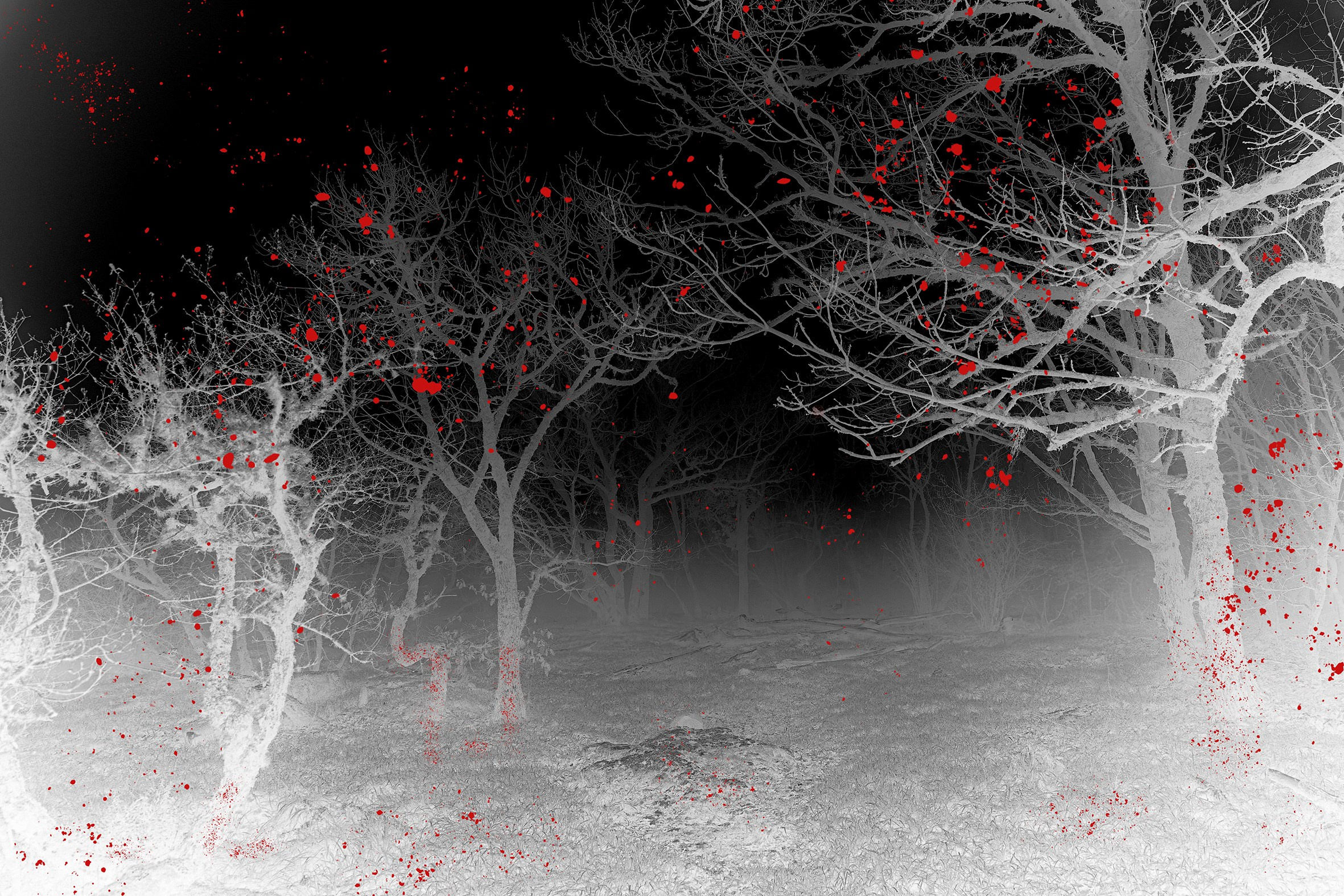 Силовые линии. Визуальный художник Лиана Даренская, Москва