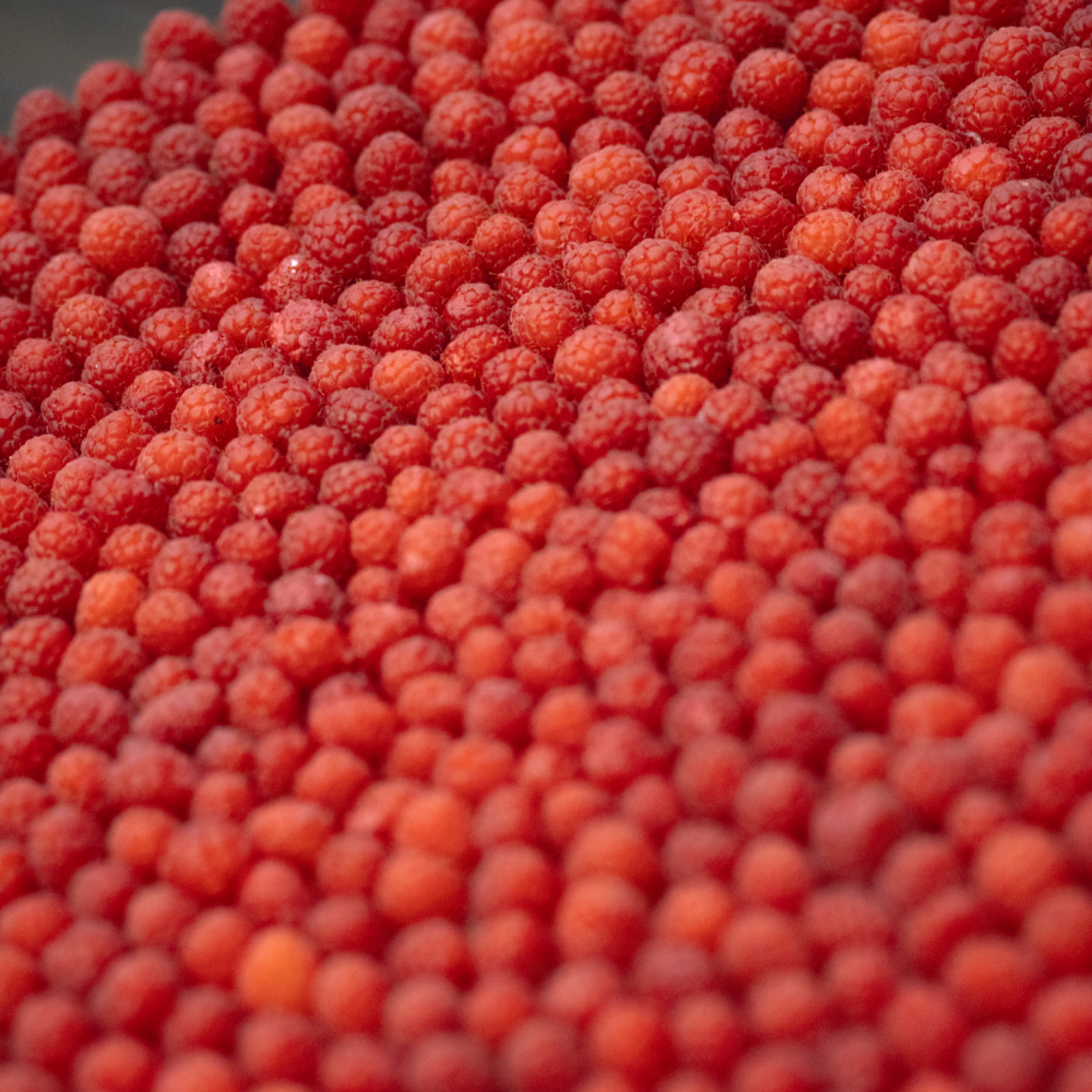 Price. Свадебный и семейный фотограф в Москве/Калуге Юлия Мосиюк