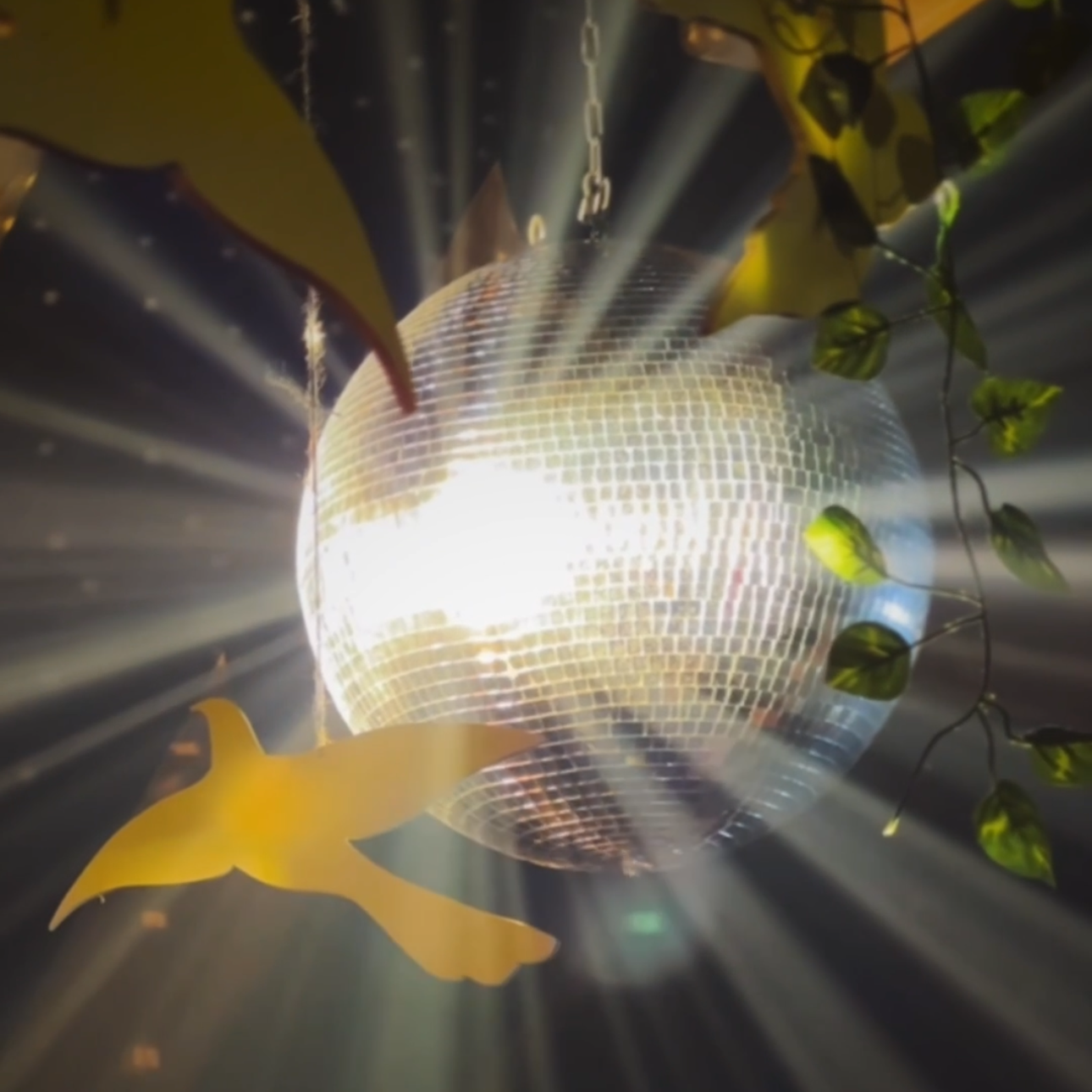 Креативный видеомейкер в Москве