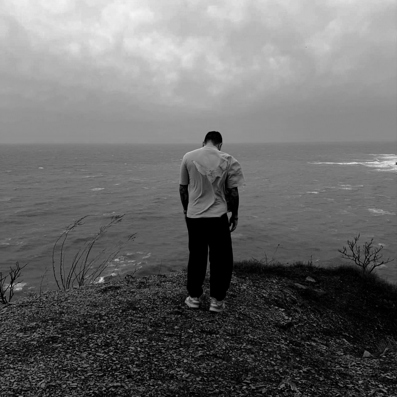 Контакты. FASVID