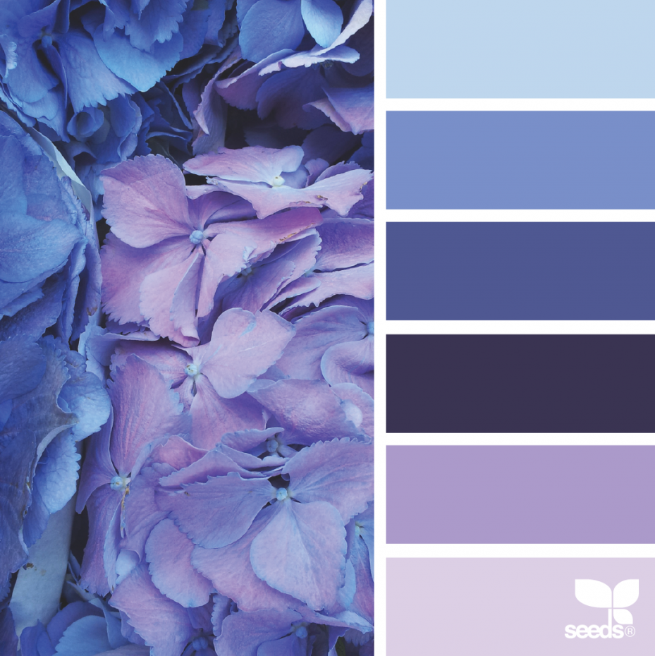 Локации и их цветовые гармонии. Степанова Анна.Детский и семейный фотограф Крым