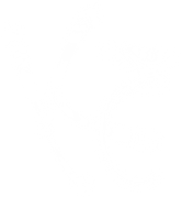 klimovskiyegor.wfolio.pro