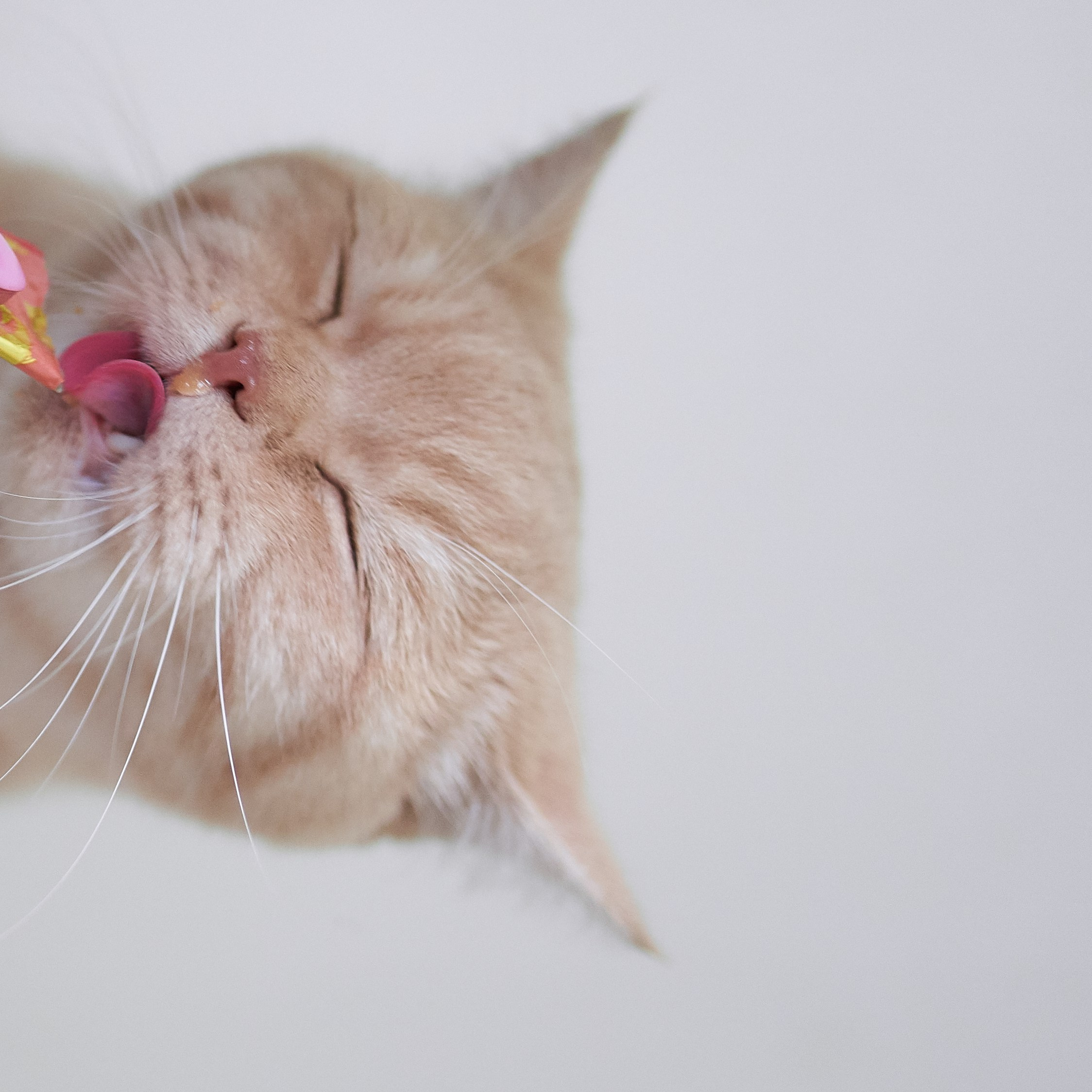 Подарочный сертификат на мужские съемки в виде пластиковой карты