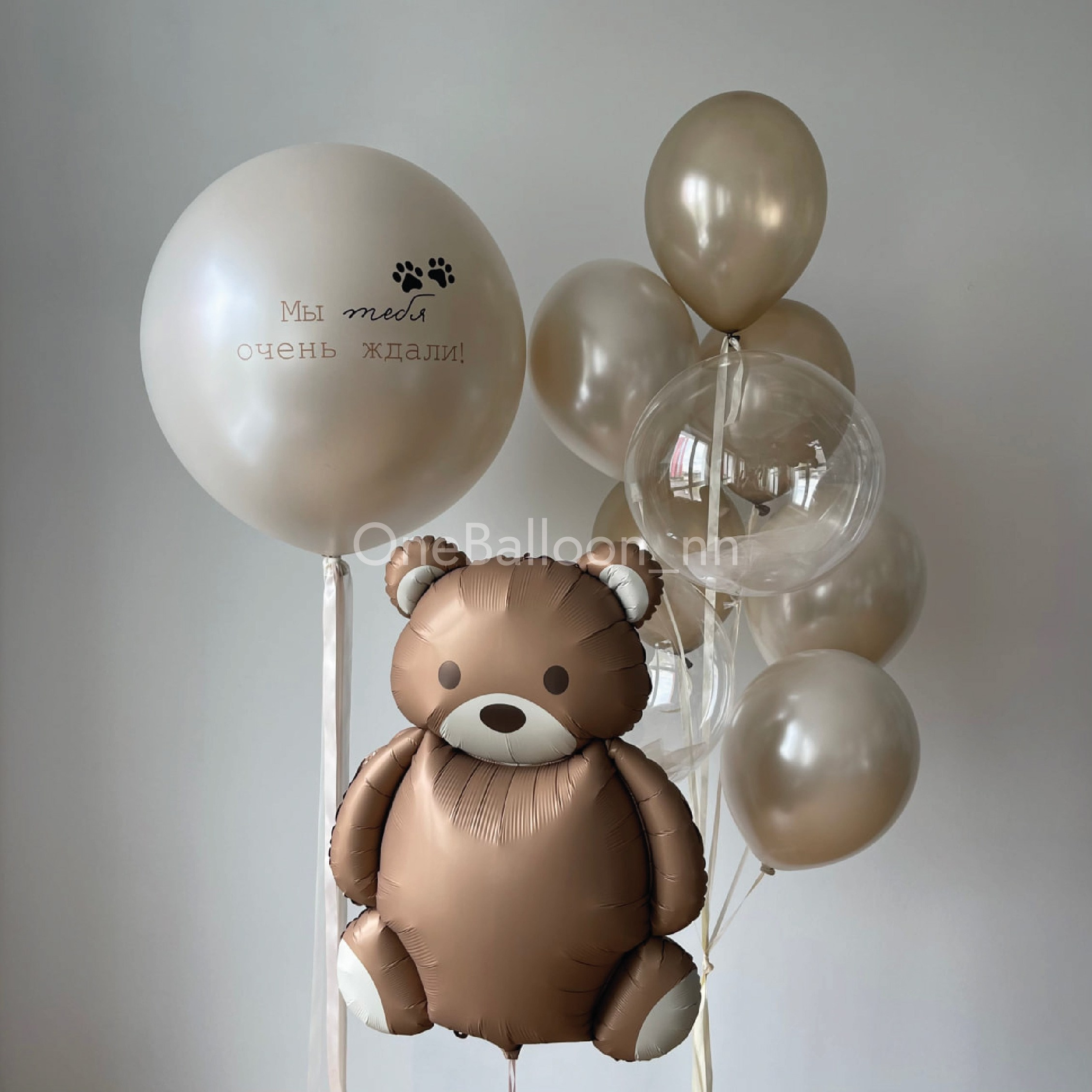 Шарики шары на выписку из роддома для мальчиков. One Balloon Воздушные и гелиевые шары Фотозоны Нижний Новгород