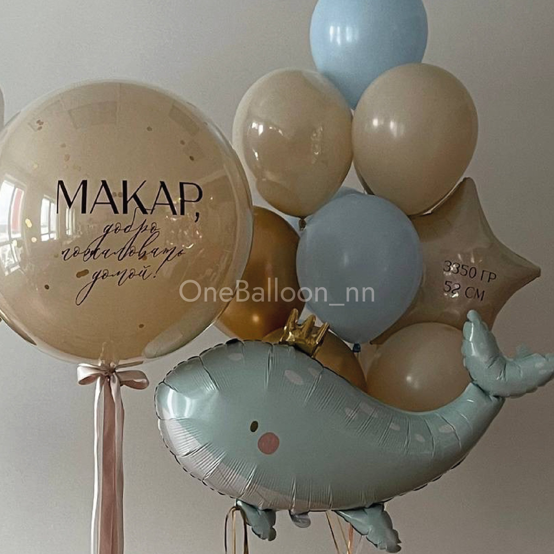Шарики шары на выписку из роддома для мальчиков. One Balloon Воздушные и гелиевые шары Фотозоны Нижний Новгород