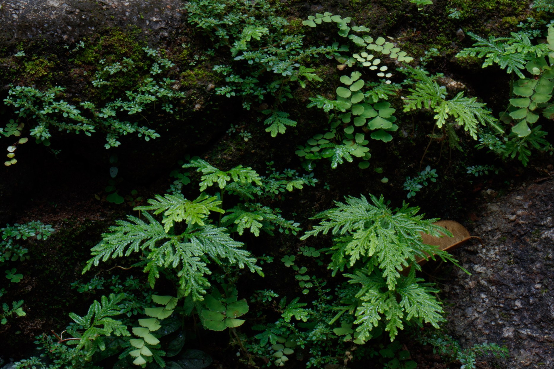 Фотосессии на Пхукете — солнце, море