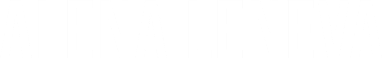 stewardessvo.wfolio.pro