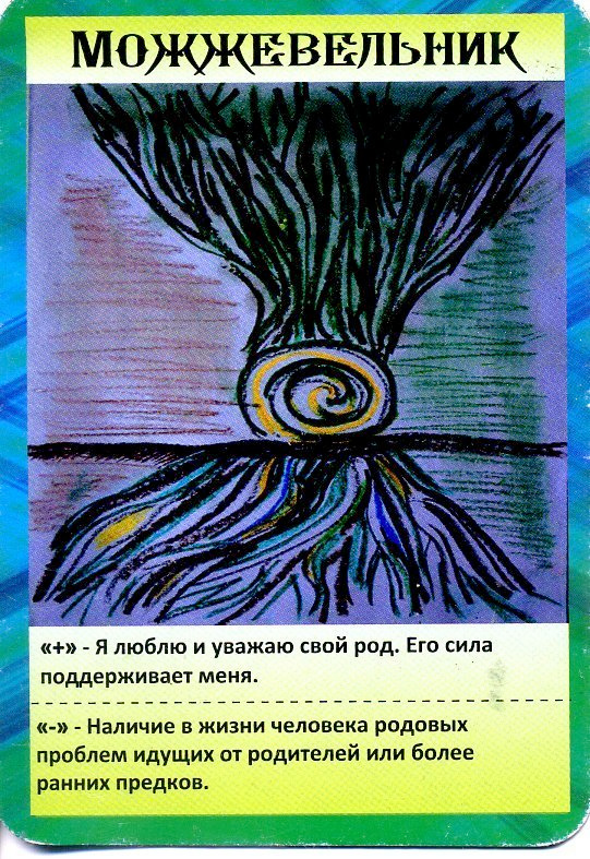 Масло можжевельника. VDAO.RU — исцеляющие практики