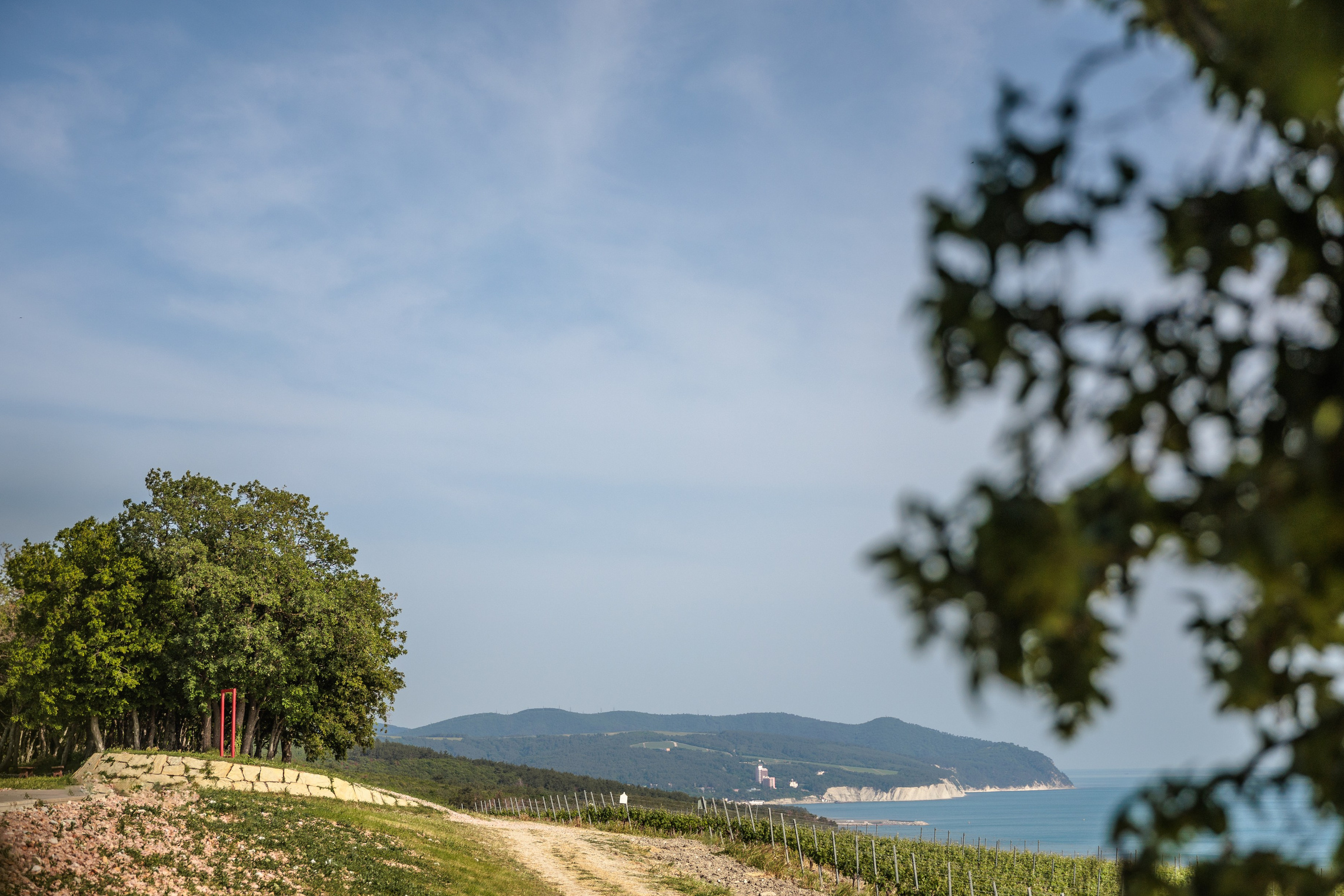 Фотограф в Геленджике Мария Четверикова