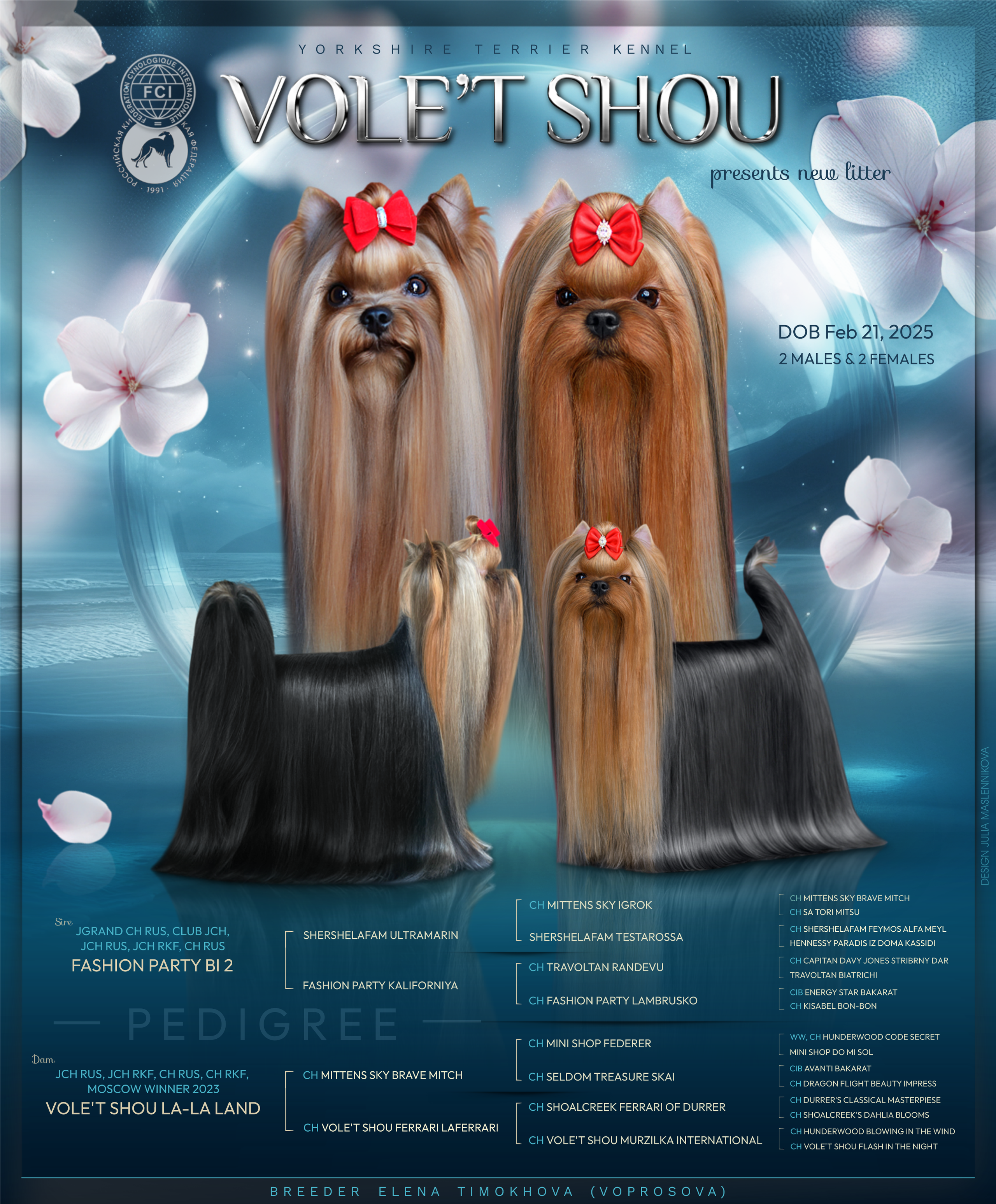 Разведение йоркширских терьеров. Питомник Воле'Т Шоу Vole'T Shou. Йоркширский терьер — питомник йоркширских терьеров Vole'T Shou