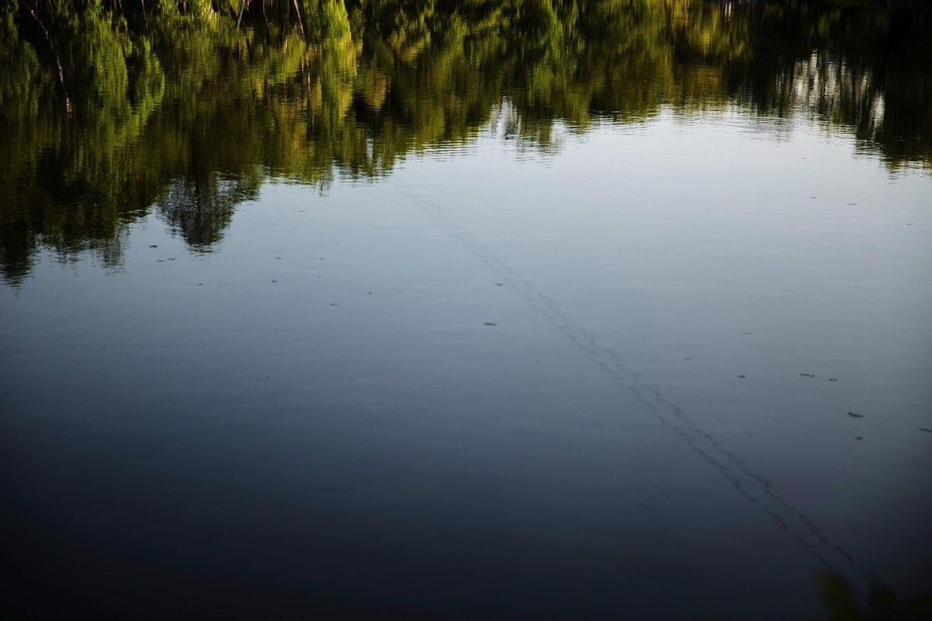 Дима и Ксения. Предсвадебная съемка. Фотограф Игорь Цаплин